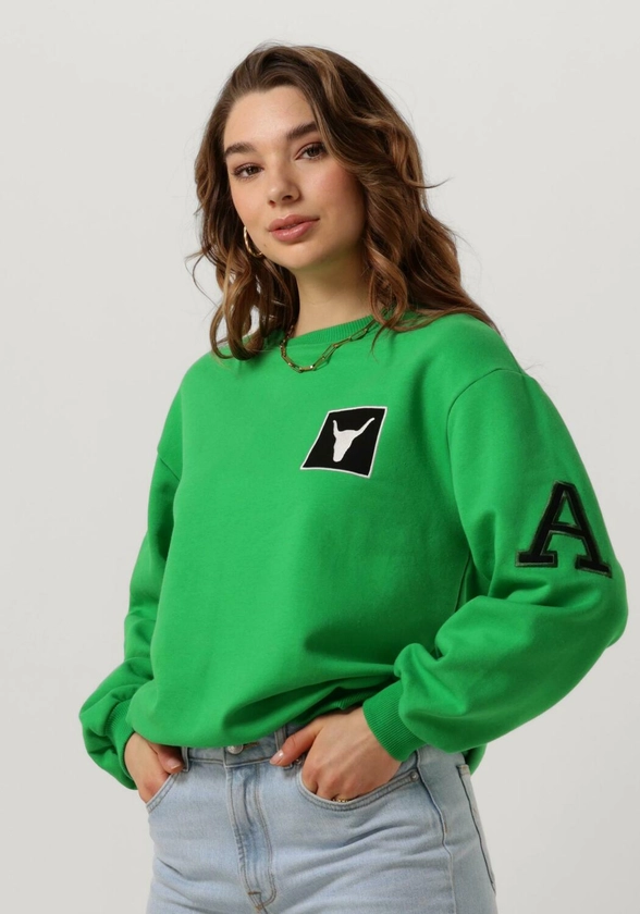 Groene ALIX THE LABEL Sweater LADIES KNITTED PATCH SWEATER