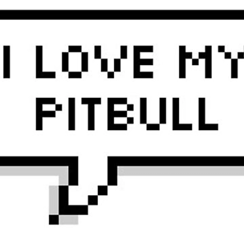 "I love my pitbull" Magnet for Sale by reallyrealnow