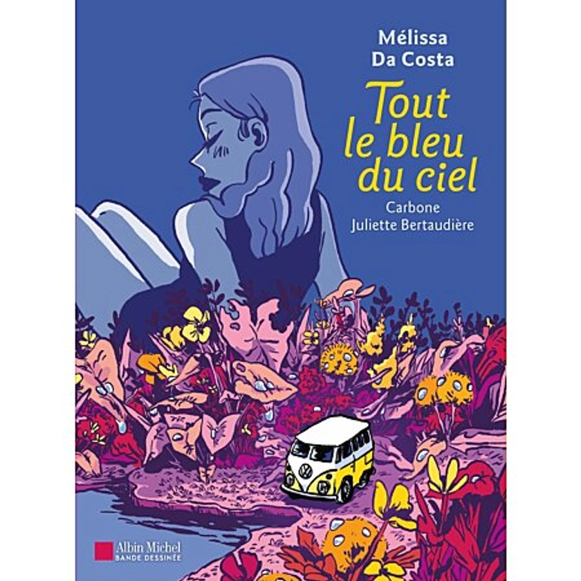 Tout le bleu du ciel (BD) (BD)