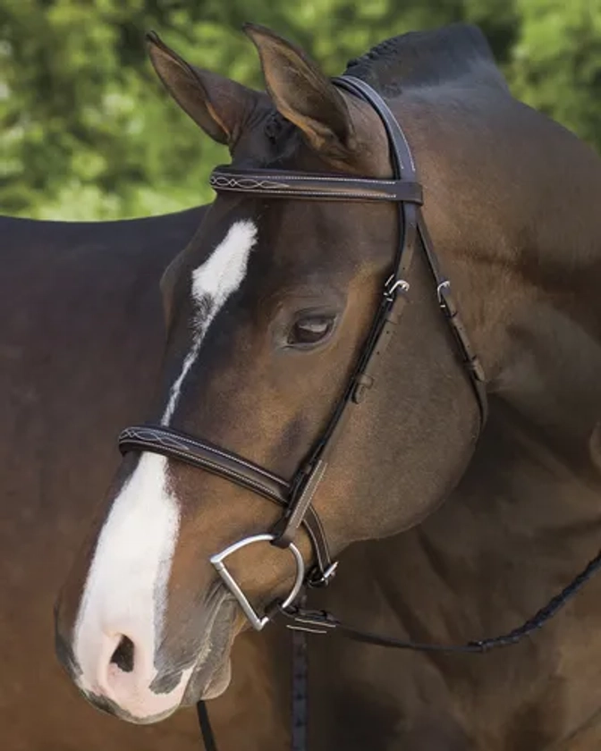 Suffolk™ Fancy-Stitched Single Crown Bridle | Dover Saddlery