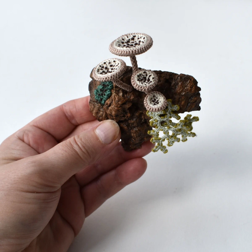 Lichen and fungi wall piece