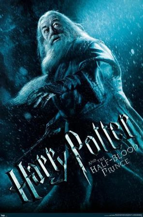 Harry Potter and the Half-Blood Prince - Dumbledore One Sheet Premium Poster