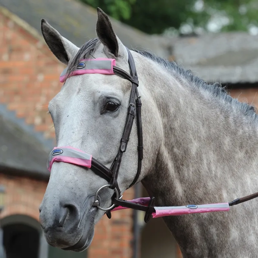 WeatherBeeta Reflective Bridle Kit - Pink/Silver