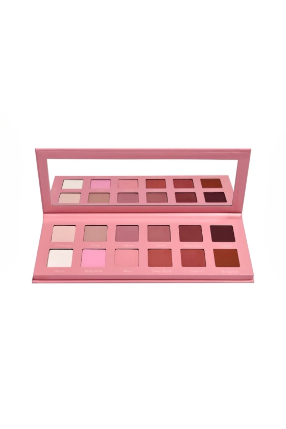 Palette Pink obsession