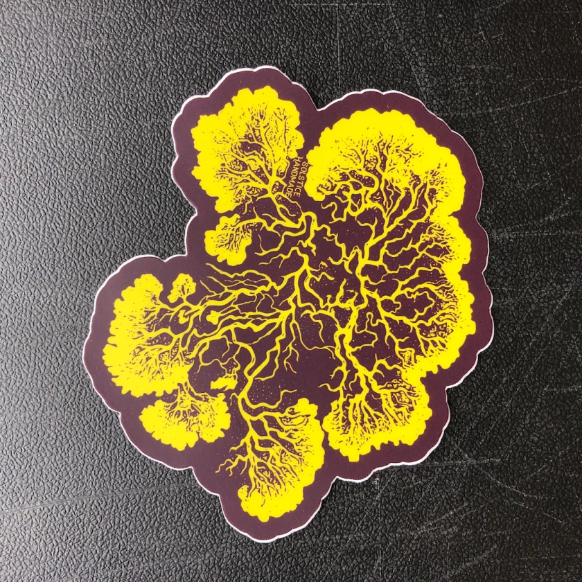 Plasmodium Slime Mold Sticker