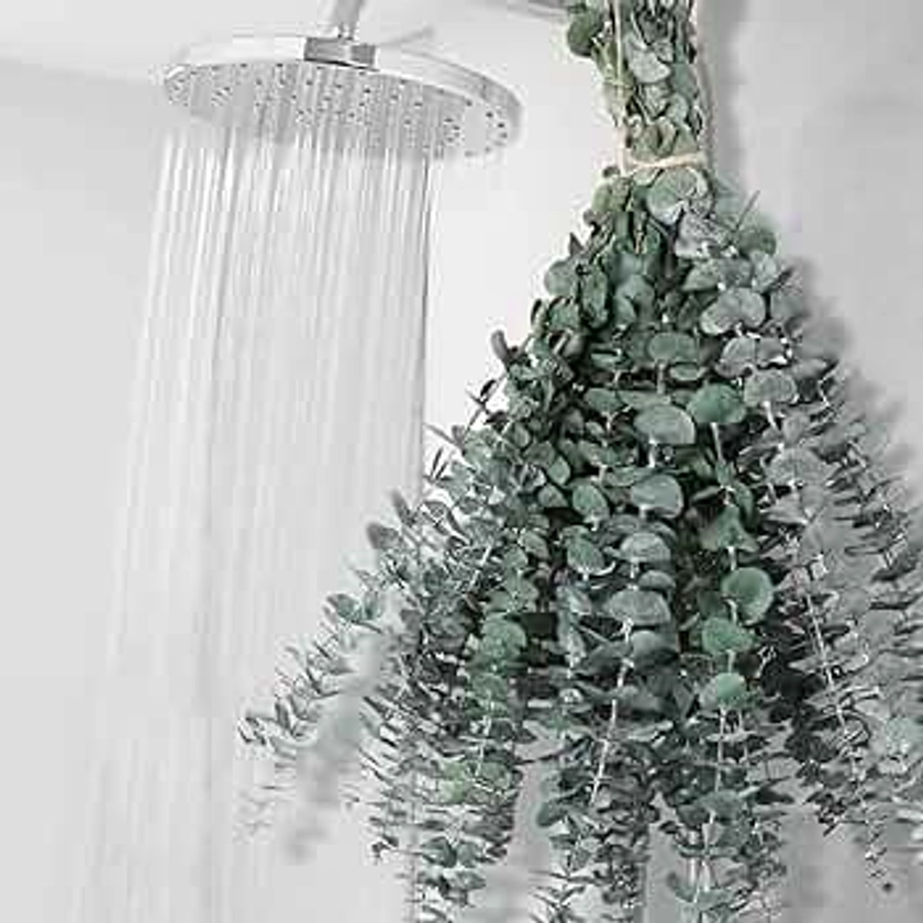 12 PCS Dried Eucalyptus Bundle for Shower - 17" Large Preserved Eucalyptus Stems Shower Plant, Fresh Real Eucalyptus Leaves for Shower Hanging, Artificial Flowers Arrangement, Home Bathroom Decor