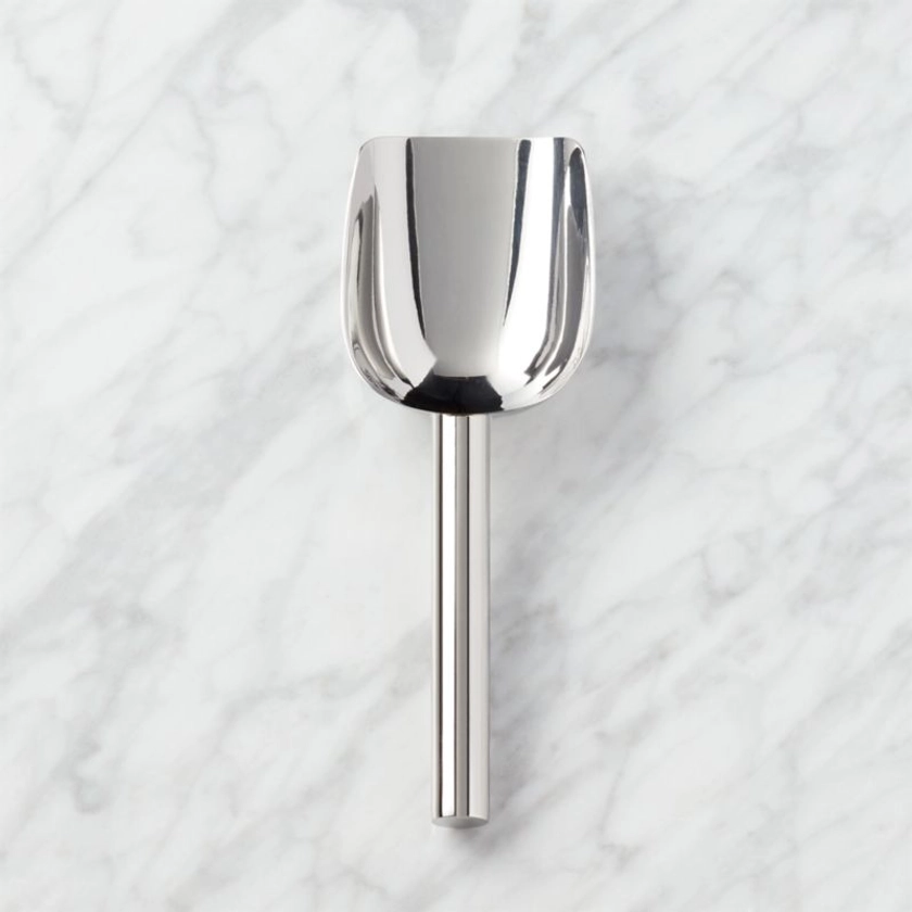 Stainless Steel Ice Scoop + Reviews | CB2 Canada