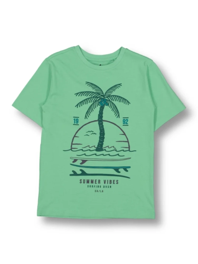 Light Green Boys Short Sleeve Print Tee | Best&Less™ Online